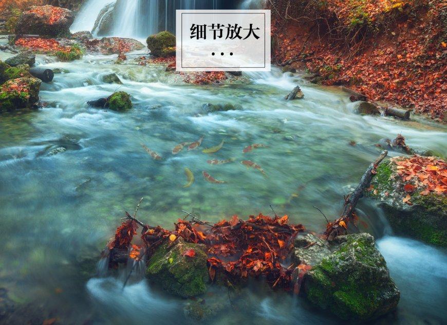2024年春运来了！